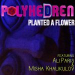 PolyheDren Shares “Planted A Flower” Clip