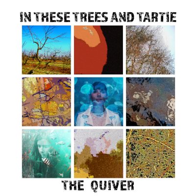 In These Trees and Tartie